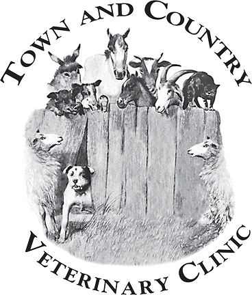 Veterinary clinic logo with various animals